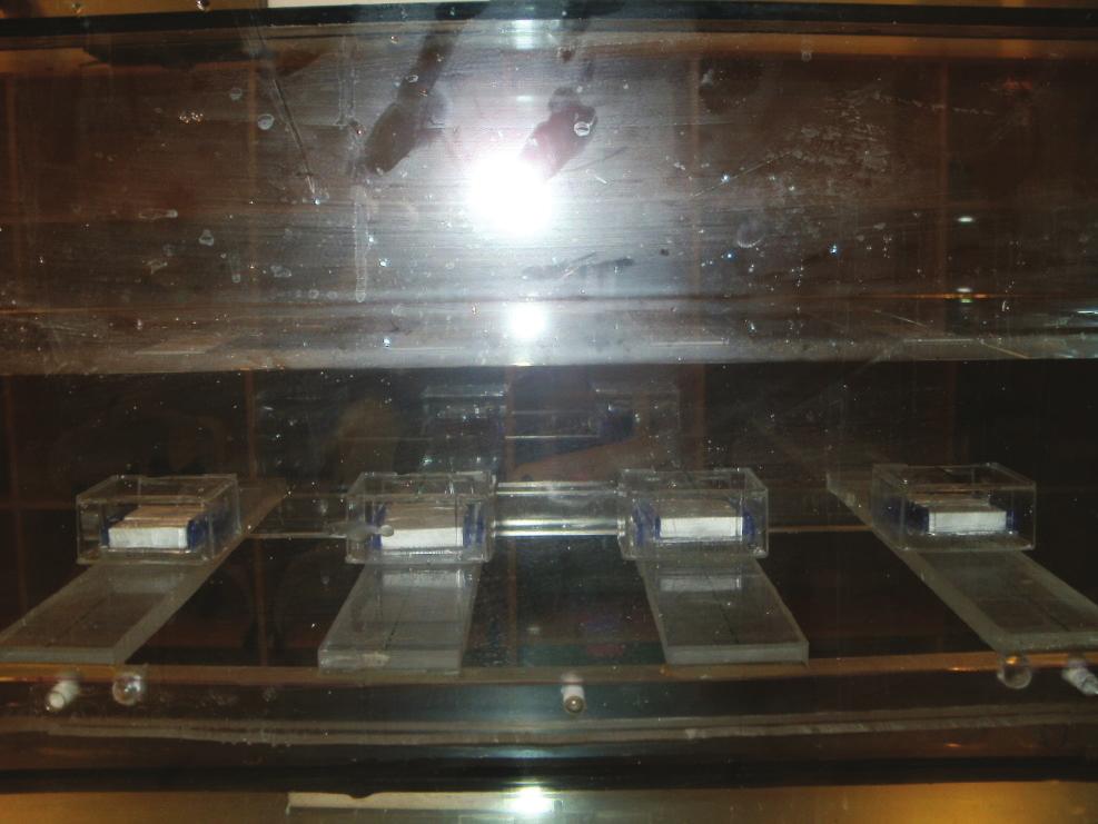 1), w którym umieszczone zostały, w wodoszczelnych bloczkach wykonanych z pleksi detektory termoluminescencyjne.