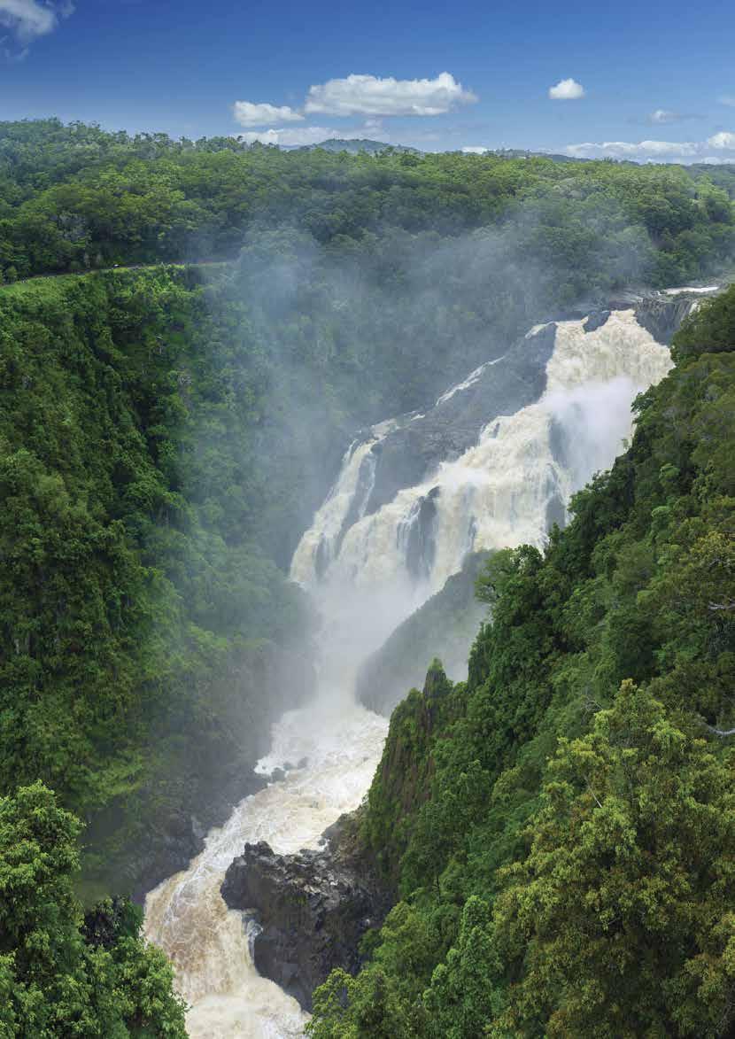 Barron Falls Jedna z najbardziej znanych atrakcji Queensland. To warstwowy, kaskadowy wodospad na rzece Barron. W języku Aborygenów nazywa się Din Din.