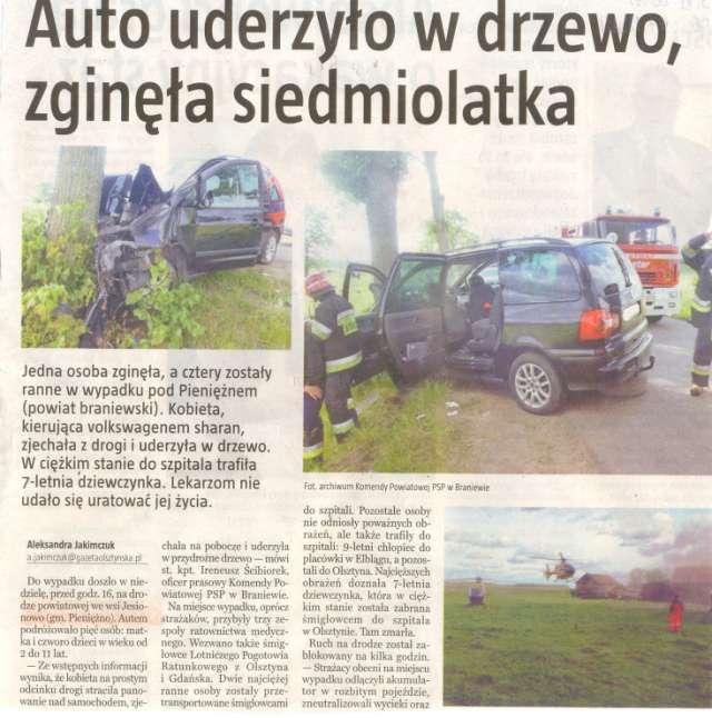 Dziennik