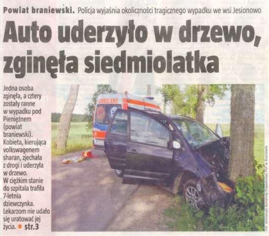 Dziennik
