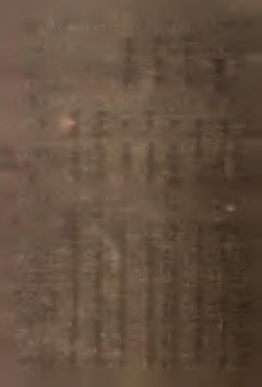 TABL.7 SPRZEDAŻ PASZ PRZEMYSŁOWYCH PRZEZ JEDNOSTK HANDLOWE CZSR "SAMOPOMOC CHŁOPSKA" W 982 R. V - V w orach V. analogeszny okres 90 00 5 3 0 502 55,3 60,4 w ym konsumenom ndywdualnym.