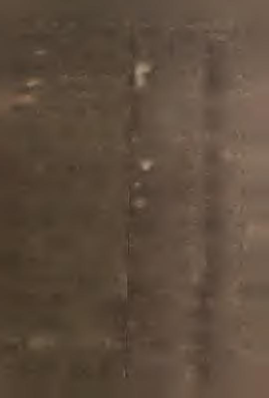 TAB. 43 ZAOPATRZENE WOJEWÓDZTWA W NEKTÓRE TOWARY W 982 R. Jednoeka mary wykonane - - 98-00 Męso, podroby przewory męsne /łęcznle z porawem! kulnarnym gar- * < naźerylnyml/ ys.zł.
