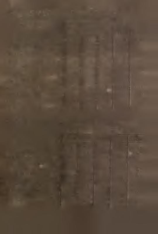 .. 22,00-32,00 - Selery za kg... - - 32,00 - Kapusa kwaszona za kg.... 20,00 20,00 8,00 r' 00,0», Ogórk kwaszone za kg.... - 25,00 2 5, 0 0 00,0 Jabłka za kg.