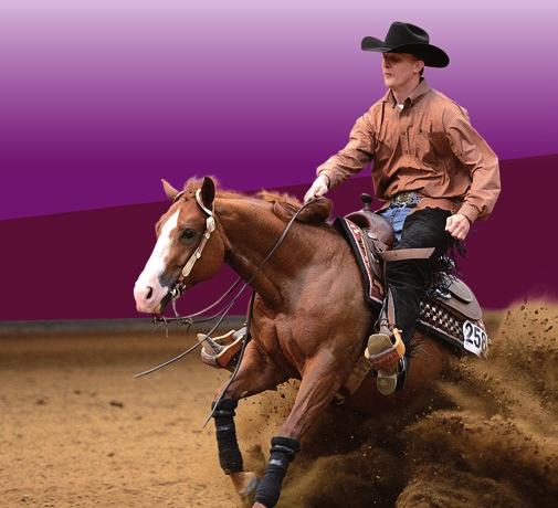 Pro-Linen Quarter Horse Musli TM pasza dla koni ras AQH, Paints, Appalloosas Pasza zaspokajająca potrzeby fizjologiczne oraz pokarmowe koni ras wykorzystywanych w konkurencjach westernowych.
