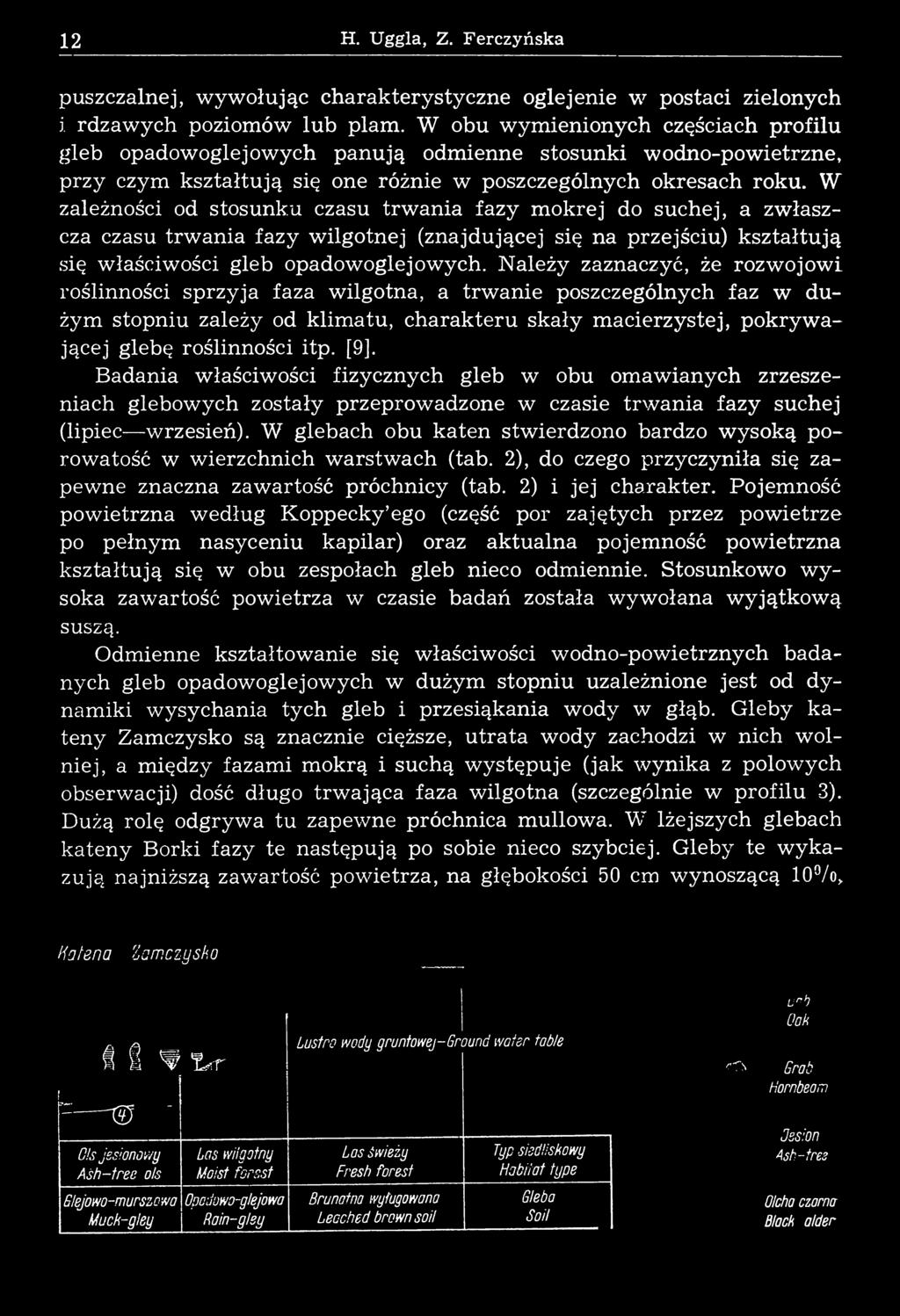W zależności od stosunku czasu trw an ia fazy m okrej do suchej, a zw łaszcza czasu trw ania fazy wilgotnej (znajdującej się na przejściu) kształtują się właściwości gleb opadowoglej owych.