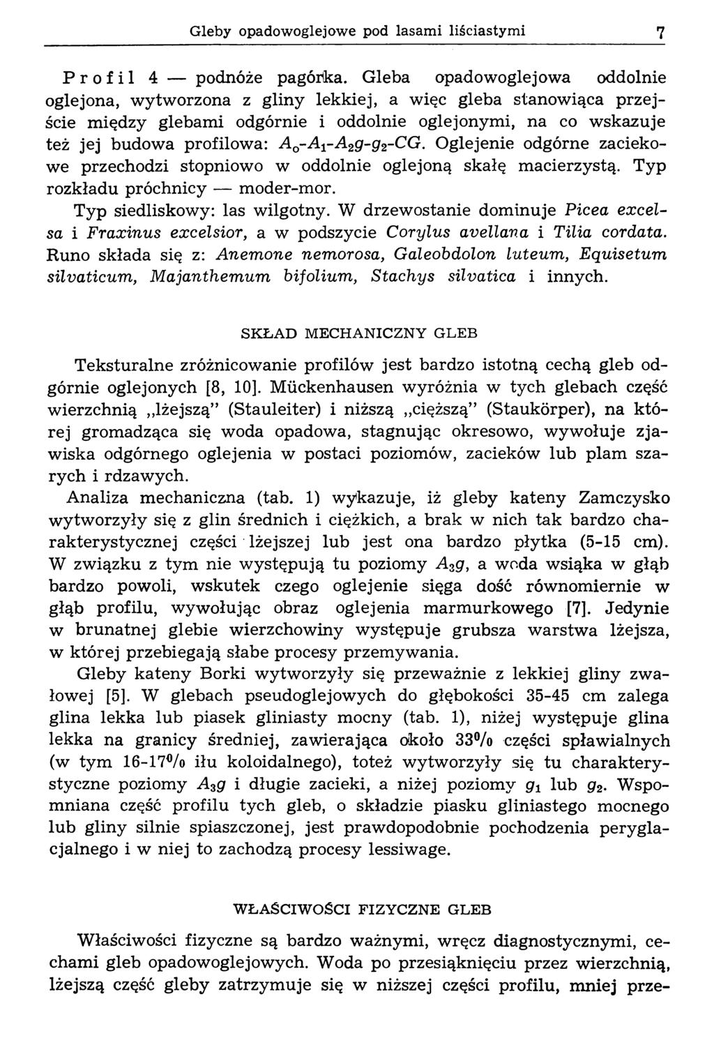 Gleby opadowoglej owe pod lasami liściastymi 7 Profil 4 podnóże pagórka.