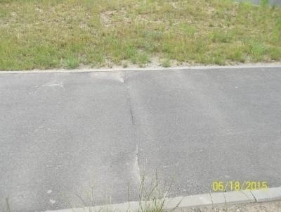 Zieleń 1) Pielęgnacja trawników -