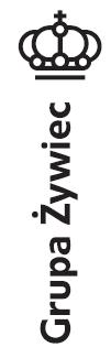 I KWARTAŁ 2019 Skonsolidowane sprawozdanie finansowe za pierwszy