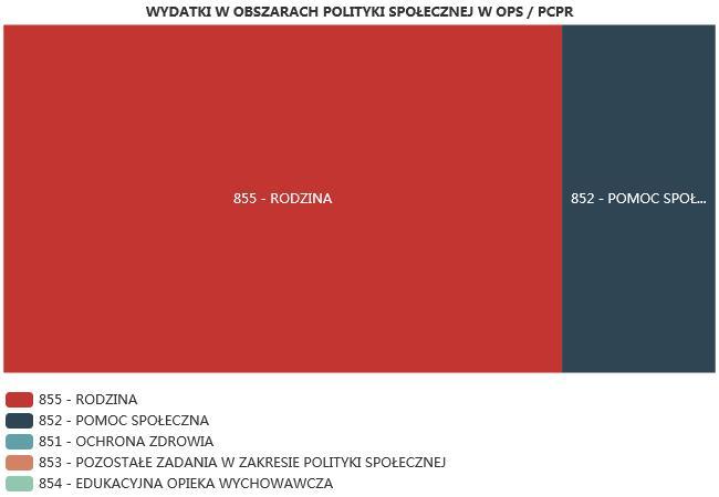 ŚRODKI FINANSOWE NA WYDATKI W POMOCY SPOŁECZNEJ I INNYCH OBSZARACH POLITYKI SPOŁECZNEJ W BUDŻECIE JEDNOSTKI SAMORZĄDU TERYTORIALNEGO (zadania własne i zadania zlecone) W złotych WYSZCZEGÓLNIENIE 217