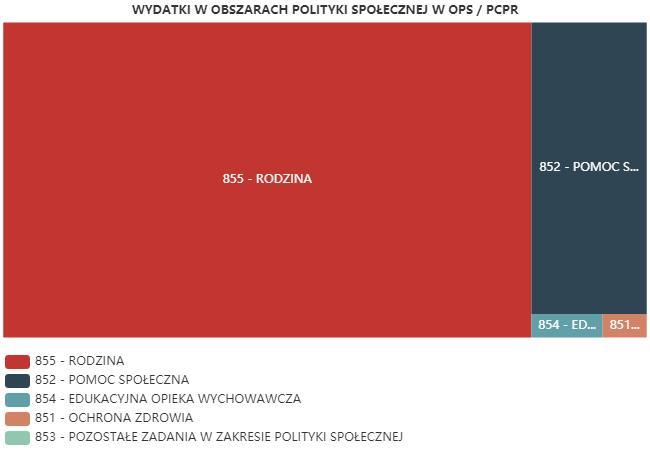 ŚRODKI FINANSOWE NA WYDATKI W POMOCY SPOŁECZNEJ I INNYCH OBSZARACH POLITYKI SPOŁECZNEJ W BUDŻECIE JEDNOSTKI SAMORZĄDU TERYTORIALNEGO (zadania własne i zadania zlecone) W złotych WYSZCZEGÓLNIENIE 217