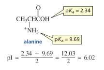 harakter kwasowo-zasadowy aminokwasów L-metionina - (S)-metionina 2 22S3 2 3S22 L-walina 2 2 (3)2 2 2 2S ()-cysteina 2 S2 3 3-3 - 3 2 harakter kwasowo-zasadowy aminokwasów 3 (S)-walina 2 (3)2