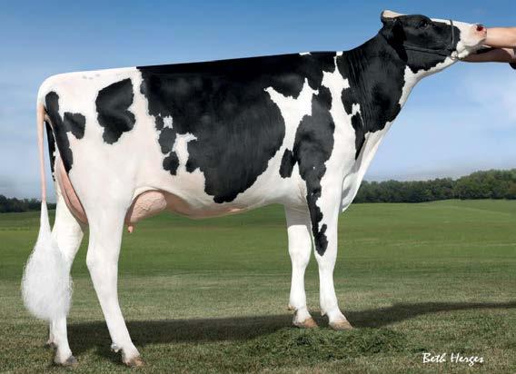 2 880p ULTRAFertility 04/2019 OCENA GENOMOWA NM$ +549 Mleko +646 90%R Fluid Merit $ +475 Tłuszcz +47 +0.08% Cheese Merit $ +584 Białko +40 +0.07% Grazing Merit $ +580 Kom. Somat. 2.