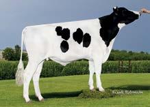 551HO03373 RUBI-AGRONAUT 26.04.