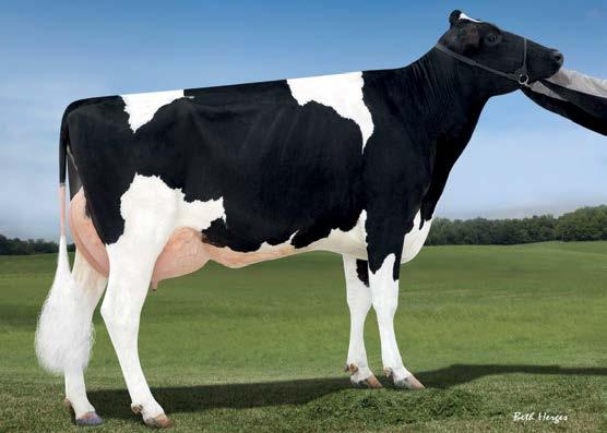 1 919p 04/2019 OCENA GENOMOWA NM$ +789 Mleko +1353 80%R Fluid Merit $ +773 Tłuszcz +74 +0.08% Cheese Merit $ +798 Białko +44 +0.01% Grazing Merit $ +741 Kom. Somat. 2.86 78%R Długość ciąży -2 Płod.