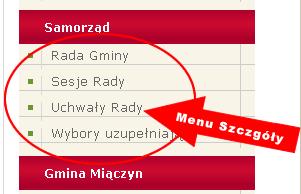 prezentuje podzielone na grupy, posortowane alfabetycznie menu szczegóły i ich własności.