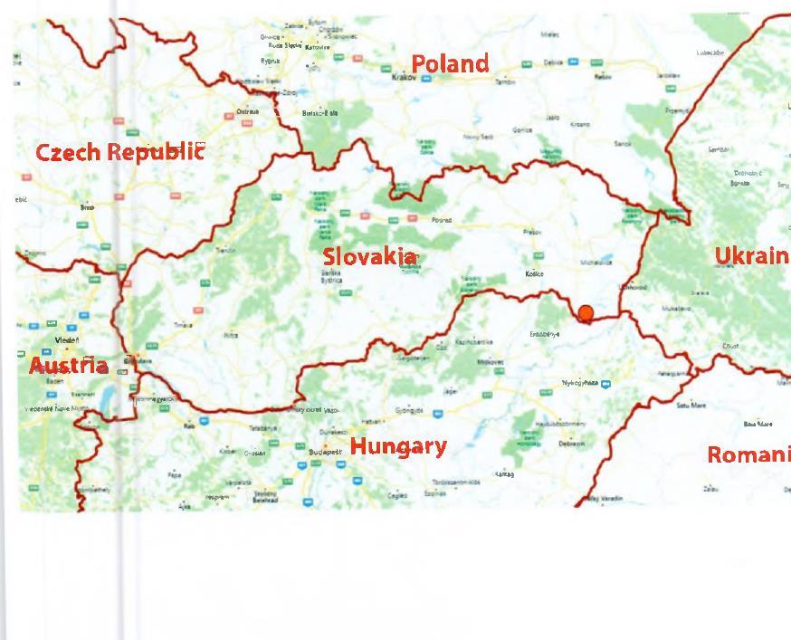 ASF na Słowacji W dniu 24 lipca 2019 r.