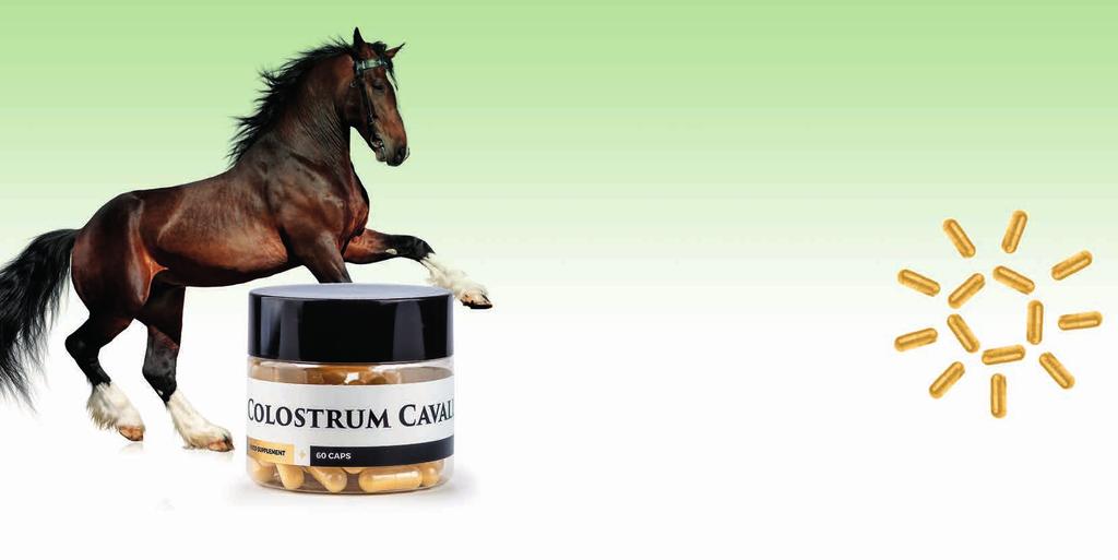 72 COLOSTRUM CAVALLI Colostrum bogate jest w immunoglobuliny IgG oraz witaminy grupy B. Dzięki obecności witamin wpływa: LIVIOON / SUPLEMENTY DIETY DLA NIEJ I DLA NIEGO 73 Co to jest Colostrum?