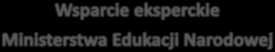 ROLA INSTYTUTU BADAŃ EDUKACYJNYCH W ZINTEGROWANEJ STRATEGII UMIEJĘTNOŚCI Ekspertyzy na potrzeby ZSU ZSU