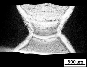 0 µm 100 µm 50