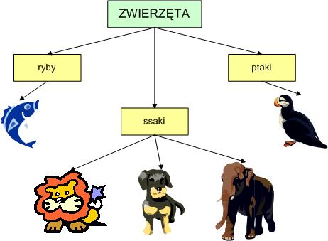 Dziedziczenie klas Klasa bazowa klasa, z której dziedziczy klasa pochodna Klasa pochodna klasa, która dziedziczy po klasie bazowej Klasa pochodna może korzystad z