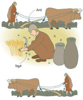 Narzędzia rolnicze redskaper og korndyrking W epoce brązu wymyślono i udoskonalono wiele ciekawych