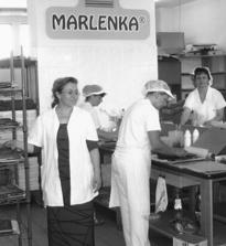 Historia spółki W 2003 roku Armeńczyk Gevorg Avetisjan i jego siostra