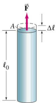 Prawo Hooke a, naprężenie, odkształcenie, moduł Younga, Δl Fl 0 A F A = E Δl l 0