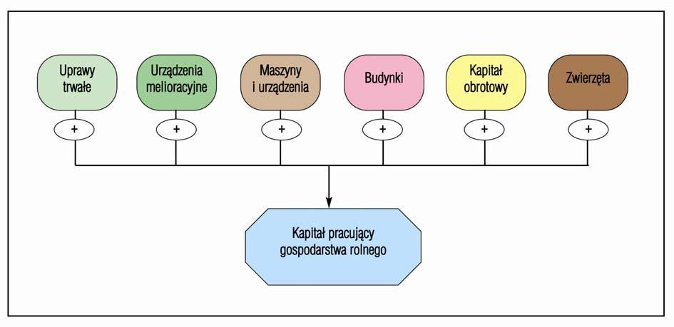 Oblicza się ją poprzez odjęcie zużycia pośredniego od produkcji ogółem i dodanie salda dopłat i podatków dotyczących działalności operacyjnej.