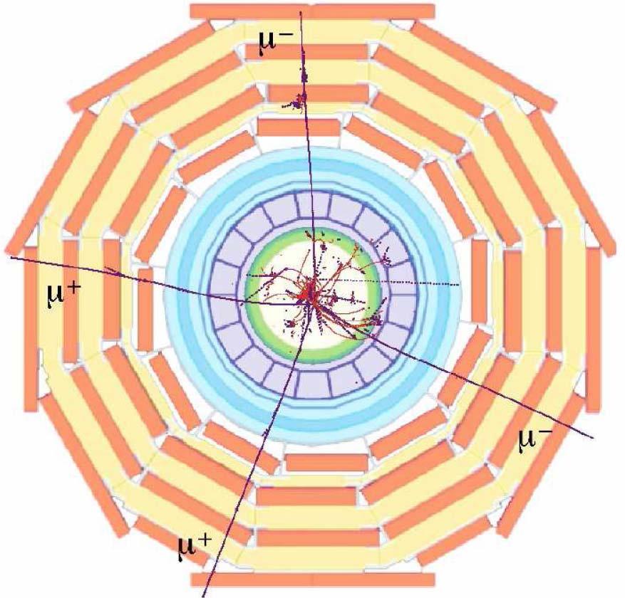 Higgs w detektorze CMS Symulacja działania