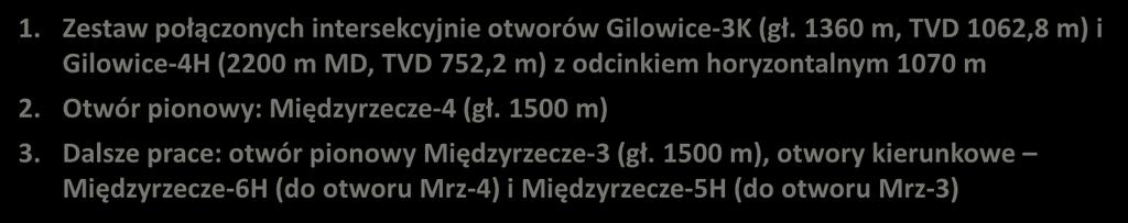 Otwór pionowy: Międzyrzecze-4 (gł. 1500 m) 3.