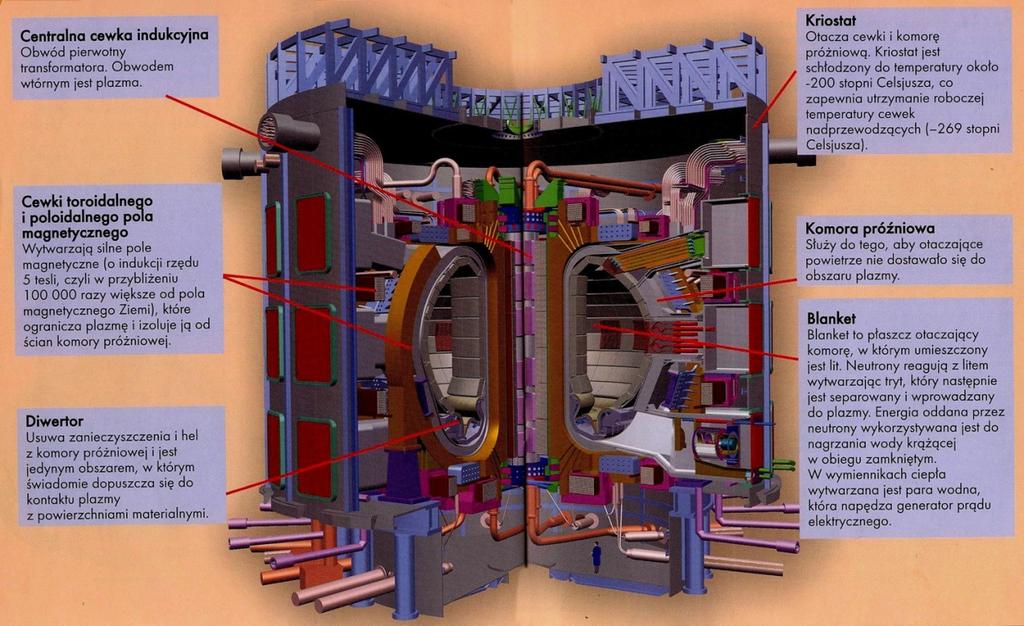 Tokamak cd Rys.