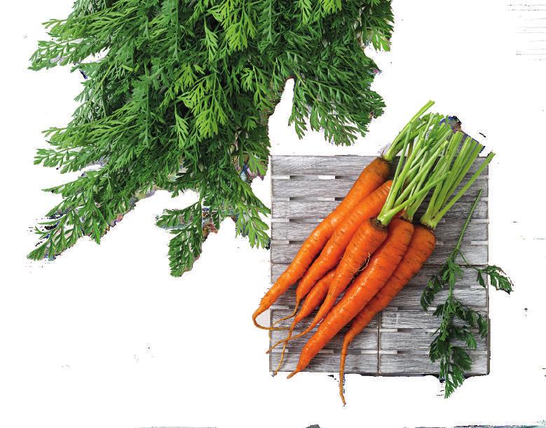 0 5900363007096 Naszą ofertę kierujemy również do branży gastronomicznej oferując
