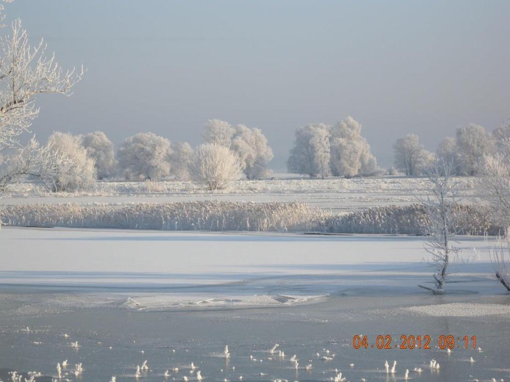 Zdjęcie 42 Zjawiska lodowe w dniu 04