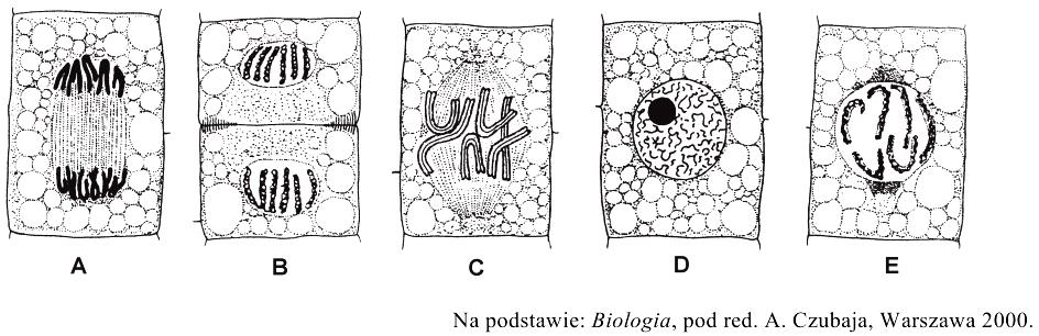 a. Spośród poniższych zdań (A-D) wybierz jedno, które stanowi poprawnie sformułowany problem badawczy do prezentowanego doświadczenia. A.