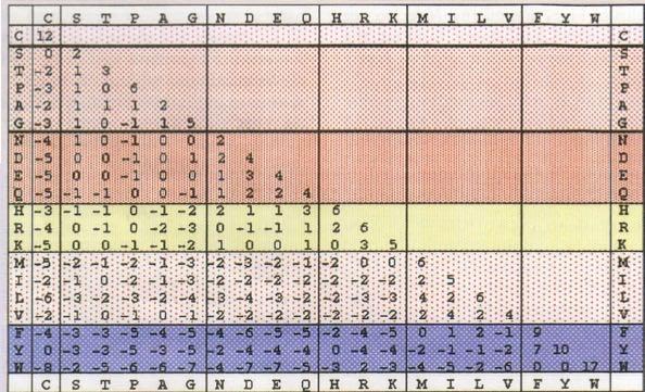 Porównywanie białek - macierze Macierze Dayhoff (PAM) Na