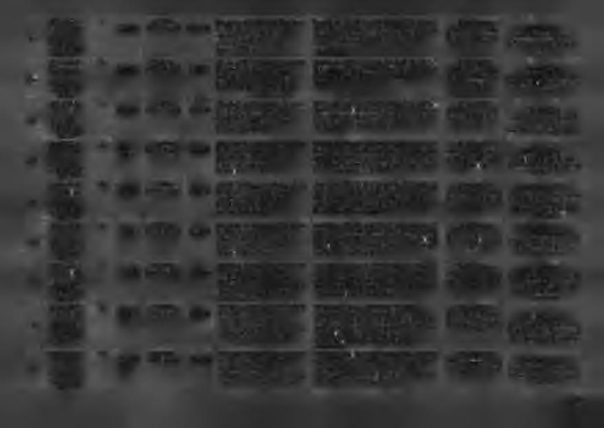 45 46 47 48 49 50 5 52 53 obręb 004 obręb 004 obręb 004 obręb 004 obręb 004 obręb 004 obręb 004 obręb 004 obręb 004 36/5 37/22 37/23 38/ 39/8 4/24 45/5 80/4 44/3 W RS/ 0 0 0 3 5 4 6 7 /2 0,048 W RS/