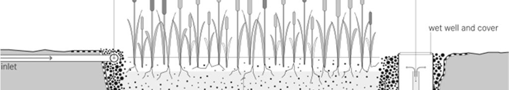 2), z przepływem pionowym (VF-CW vertical flow constructed wetland) (ryc. 3) [8, 15, 26, 29].