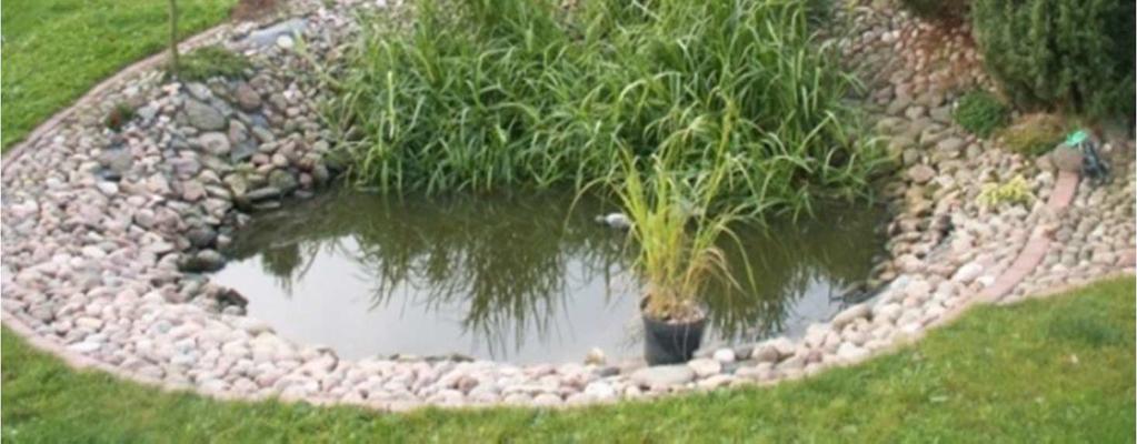 pl/oferta/oczyszczalnia-ecoverde.html (dostęp: 24.05.2016), b) www.ekoprom.com.pl/realizacje/ (dostęp: 24.05.2016) W oczyszczalniach hydrofitowych zdecydowanie zaleca się stosowanie roślin charakterystycznych dla ekosystemów bagiennych, np.