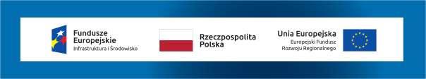 Jeśli jednak nie masz możliwości, aby na swojej stronie umieścić zestawienie znaku FE, barw RP i znaku UE w widocznym miejscu zastosuj rozwiązanie nr 2.