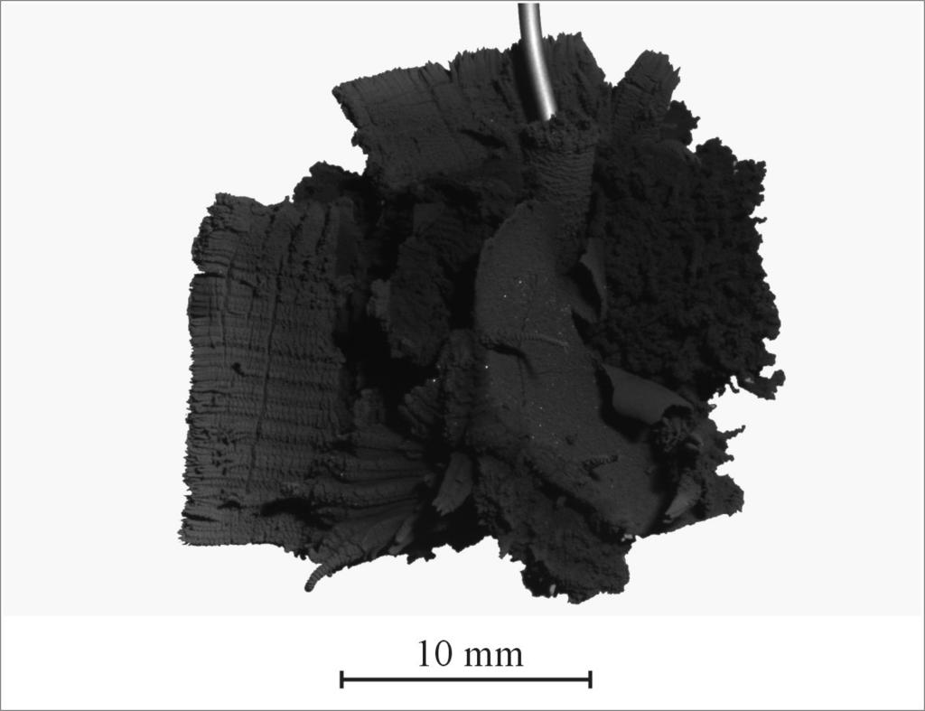 Obraz próbki stali węglowej po 3 godzinach reakcji w
