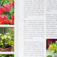 256, zintegrowana, kolorowe ilustracje, kredowy papier KOD: 710430 Justyna Fałek Słownik mowy psa Ta