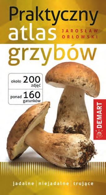 Niezbędnik każdego grzybiarza! Nowość 14,90 zł Jarosław Orłowski Praktyczny atlas grzybów Wśród opisanych 160 gatunków aż 95 jest jadalnych. Pozostałe są niejadalne i trujące.