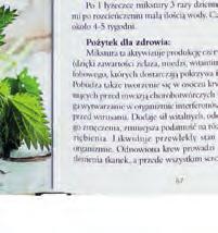 na preparat z czyru brzozowego o działaniu