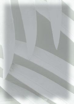. dwutorowa - od 9,99 /szt.