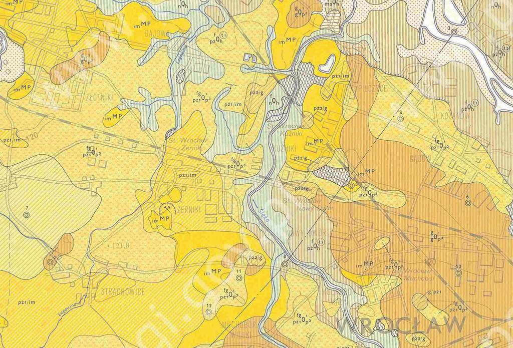 Wycinek Szczegółowej Mapy Geologicznej Polski w skali 1: 50 000, arkusz nr 763 - Leśnica Łabno A., Państwowy Instytut Geologiczny, 1986r.