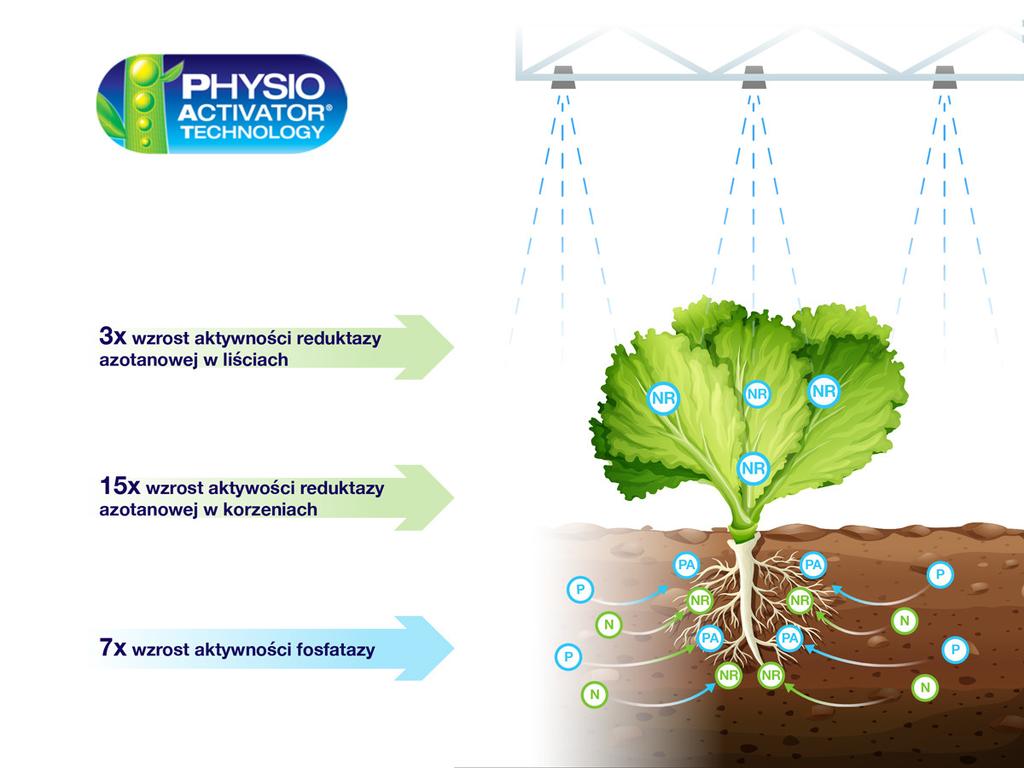 https://www. W biostymulatorze Rooter zastosowano specjalną technologię PhysioActivator. Panie Profesorze, dlaczego właśnie poleca Pan Rooter?