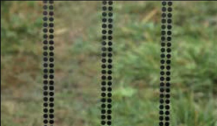 Dwa rzędy czarnych kropek tworzących pas (sitodruk) Średnica kropek: 8 mm Odległość
