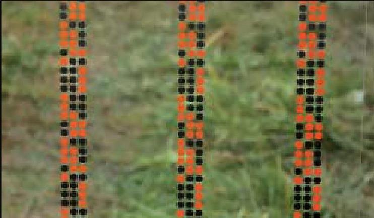 pomarańczowych kropek tworzących szeroki pas Średnica kropek: 8 mm Odstęp między