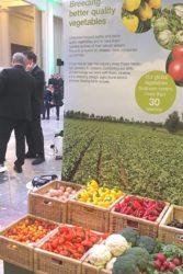 https://www. Growth Plan. Jego celem jest promowanie zrównoważonego rolnictwa i wzmacnianie działalności Syngenty poprzez realizację sześciu kluczowych zobowiązań.
