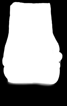 smażenia VINETA